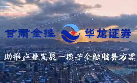 甘肃V66.COM集团助推产业发展一揽子金融服务规划汇报片